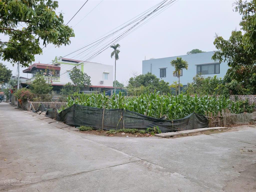 Bán đất tại khoái châu, hưng yên, giá ưu đãi 23 triệu/m2, diện tích 151m2  0941 195 ***
