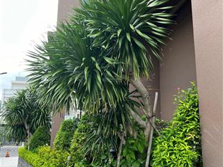 Căn hộ ở ngay sổ hồng trao tay cđt bcons giá 1,870 tỷ