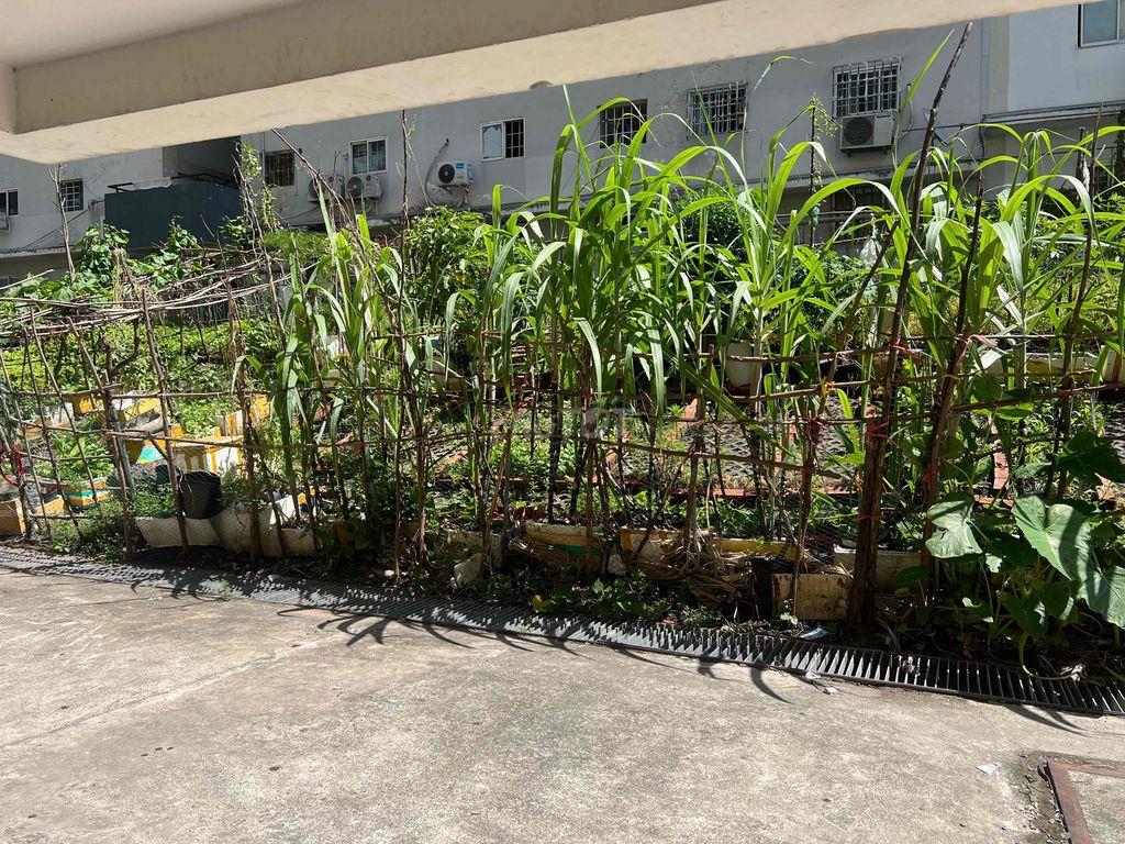 CHÍNH CHỦ bán căn GÓC Shophouse 3mặt tiền/890tr