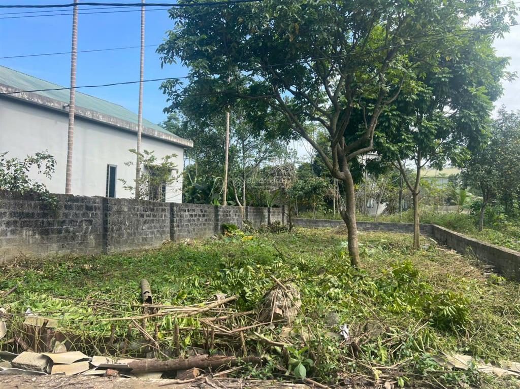 Bán lô đất hiếm tại cư yên  view đẹp  hơn 1 tỷ sở hữu ngay