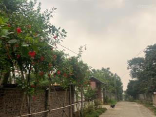 Sở hữu đất vàng 2 mặt tiền, giá cực tốt tại hòa sơn, lương sơn, hb. dt 531m2