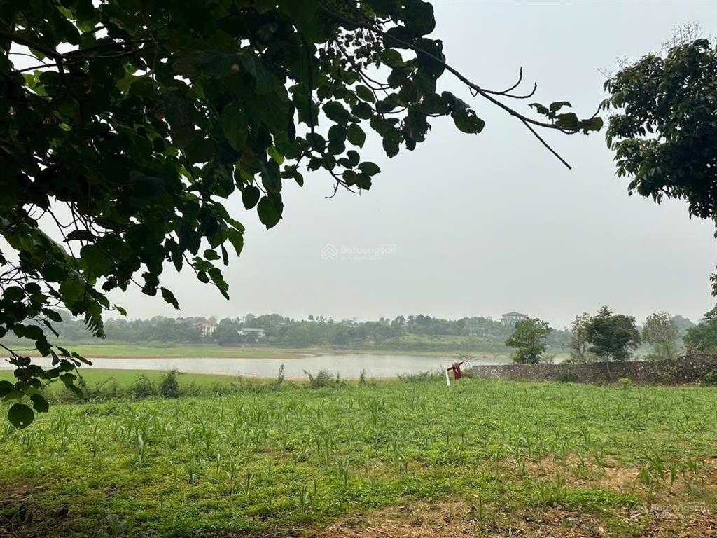 Bán đất view hồ đồng tranh  dt 1300m² làm biệt thự nghỉ dưỡng cực đẹp