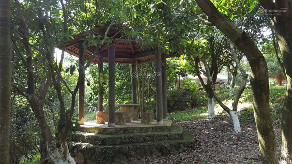 Biệt thự nhà vườn nghỉ dưỡng cư yên  lương sơn. dt 4.000m² view hồ  second home đẳng cấp