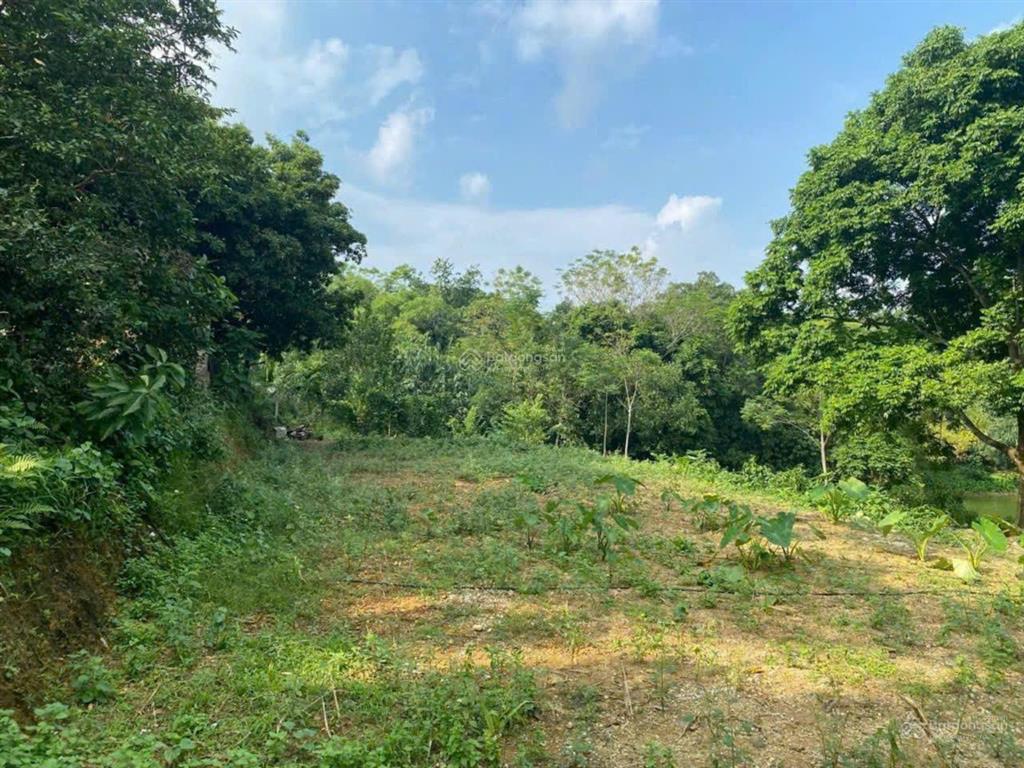 1.472m² đất bám hồ. tiềm năng khai thác homestay cực tốt tại nam phương tiến, chương mỹ