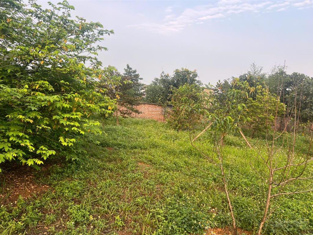 Siêu phẩm phân lô, cơ hội đầu tư hiếm có. dt 2300m2 tại lương sơn hòa bình