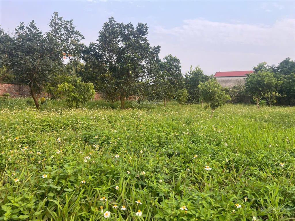 Siêu phẩm phân lô, cơ hội đầu tư hiếm có. dt 2300m2 tại lương sơn hòa bình