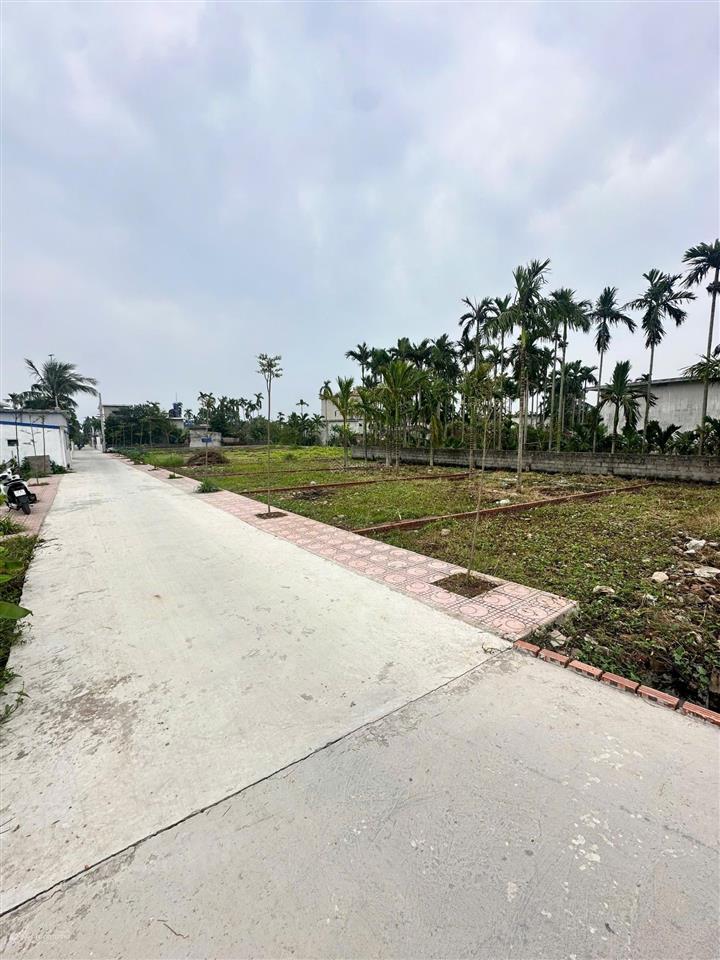 Chính chủ bán gấp đất vsip nam định