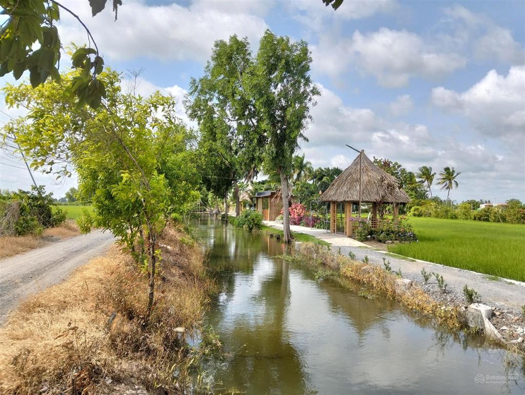 3872m2 có 900m2 thổ cư long hòa cần đước, giá rẻ