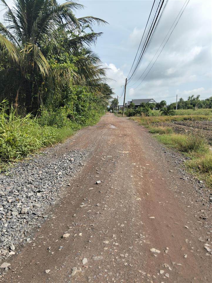 3400m2 full thổ cư long khê, cần đước gần sài gòn đường xe tải giá rẻ