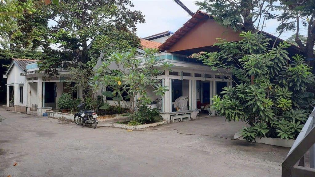 Nhà xưởng 1250m2 có 1000m2 thổ cư mặt tiền đường nhựa mỹ yên  tân bửu sát bình chánh