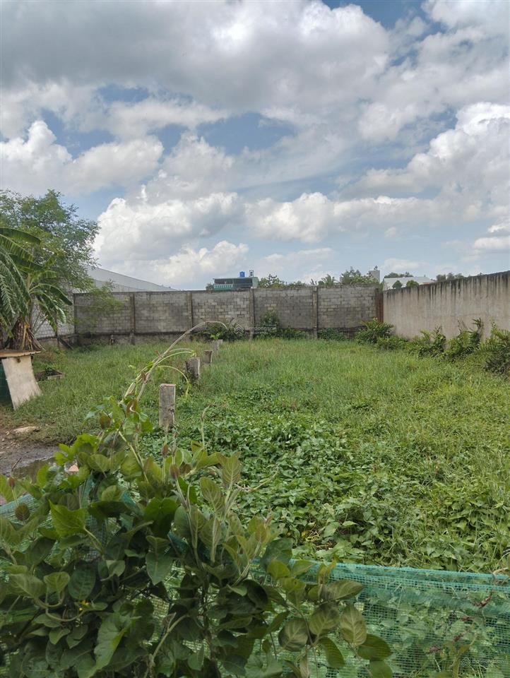 Kho xưởng 1400m2 có 300m2 thổ cư tân bửu đường container