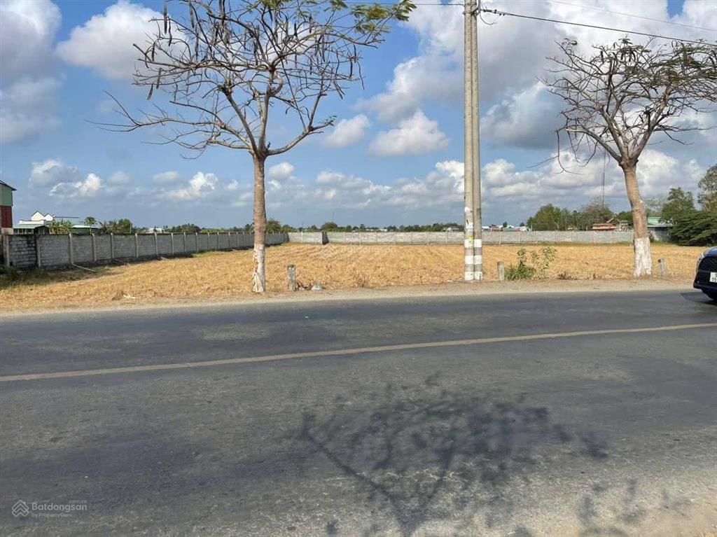 6000m2 đất lúa mặt tiền đường nhựa 826 thị trấn cần đước