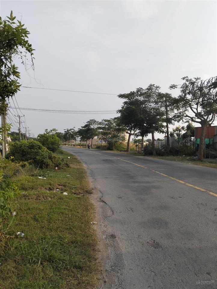 6000m2 đất lúa mặt tiền đường nhựa 826 thị trấn cần đước