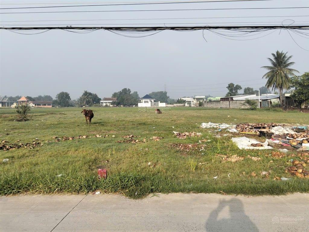 1058m2 full thổ cư mỹ yên gần bình chánh đường container
