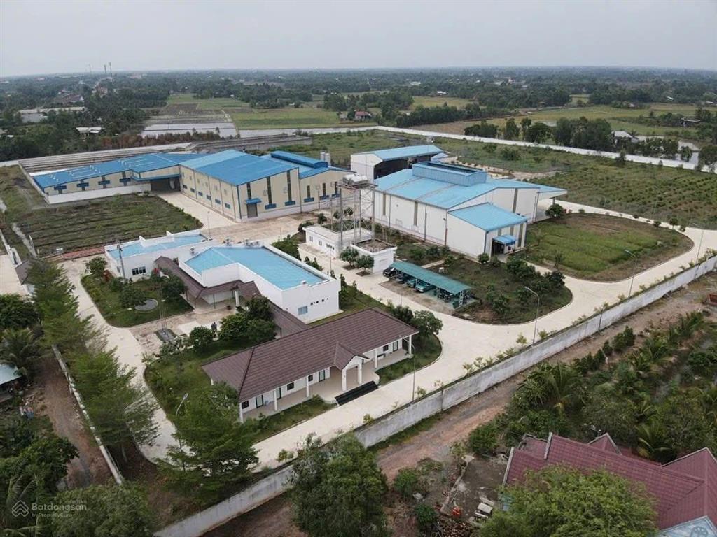 Nhà máy 4,5 mẫu đất skc sản xuất thức ăn gia súc, phân bón tại đức huệ, long an