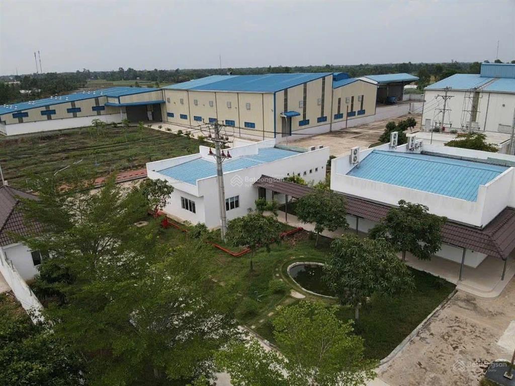 Nhà máy 4,5 mẫu đất skc sản xuất thức ăn gia súc, phân bón tại đức huệ, long an