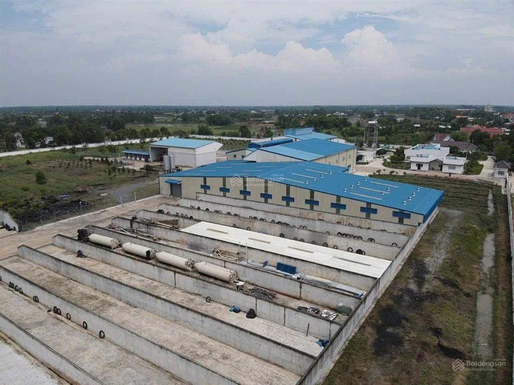 Nhà máy 4,5 mẫu đất skc sản xuất thức ăn gia súc, phân bón tại đức huệ, long an