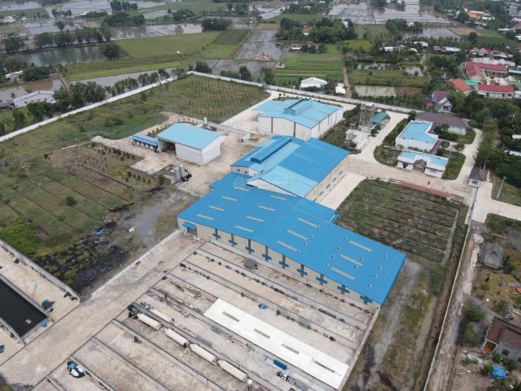 Nhà máy 4,5 mẫu đất skc sản xuất thức ăn gia súc, phân bón tại đức huệ, long an
