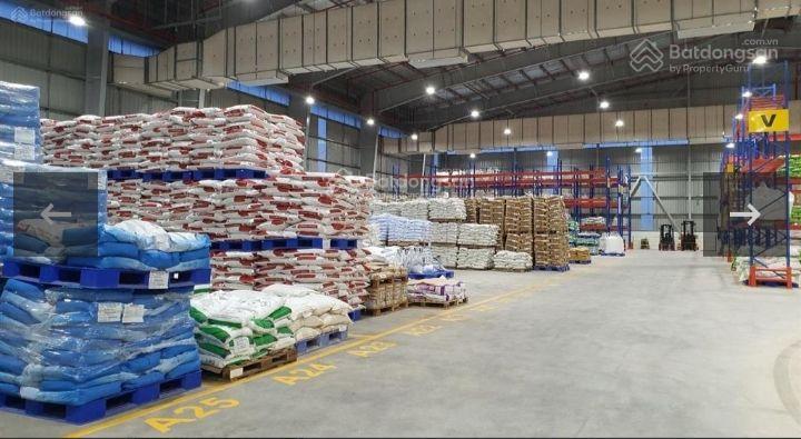 Nhà máy 4,5 mẫu đất skc sản xuất thức ăn gia súc, phân bón tại đức huệ, long an