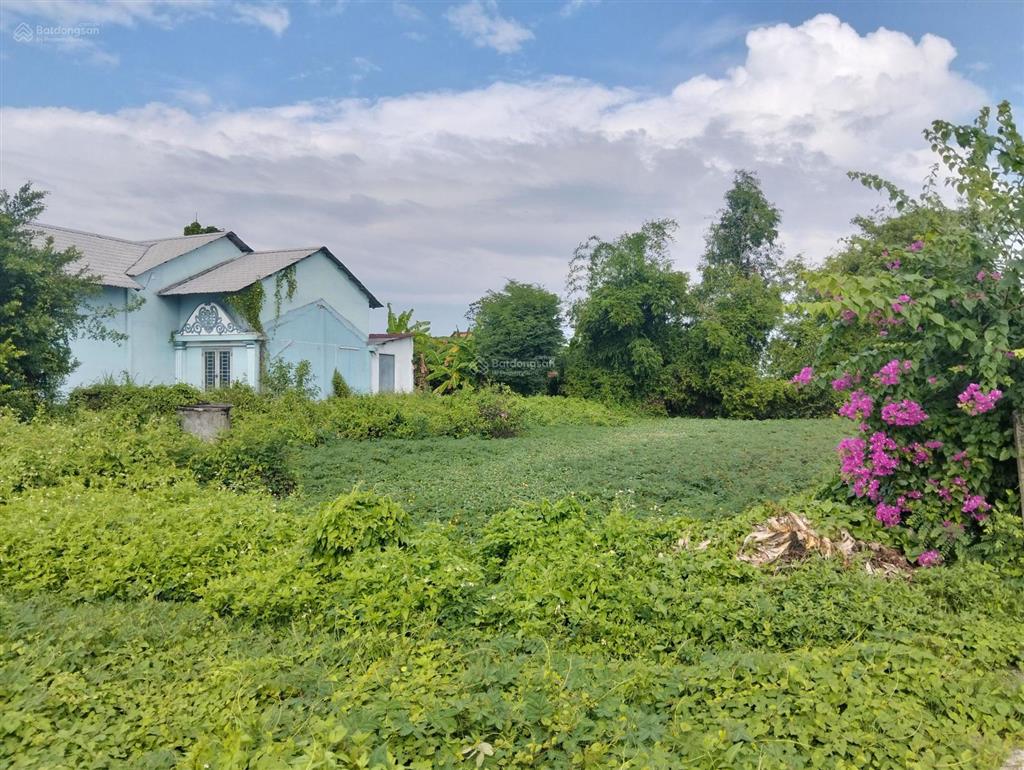 Bán 1629m2 có 704m2 thổ cư có nhà nóc thái hoàn công đầy đủ long khê cần đước, đường ôtô