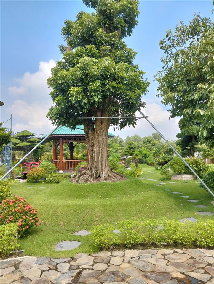 Nhà vườn 8600m2 bình chánh. nghỉ dưỡng siêu vip giành cho khách chịu chi