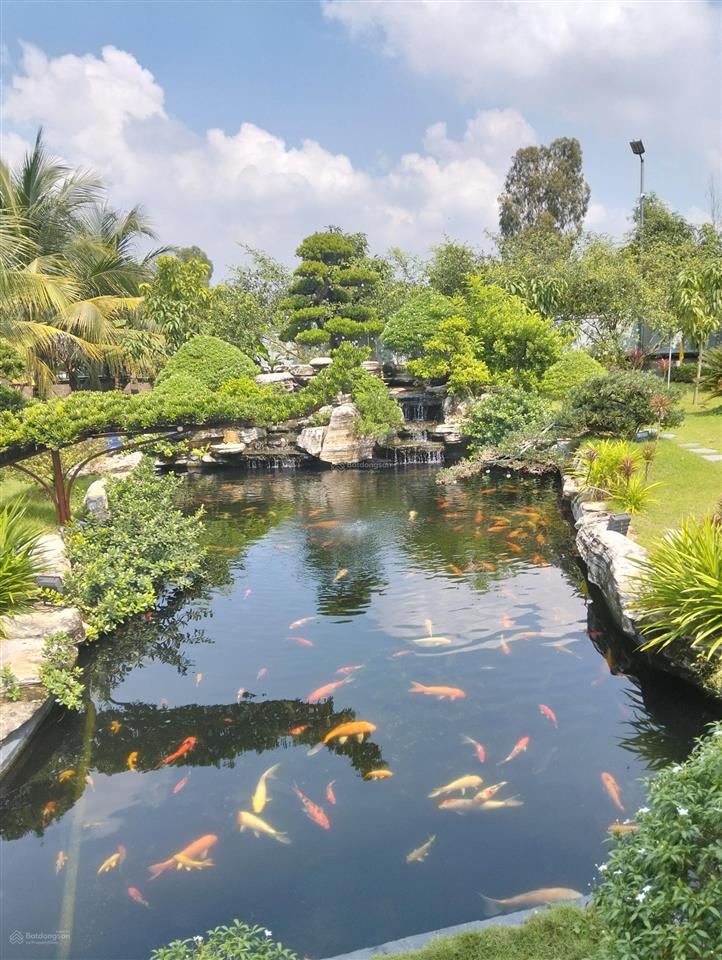 Nhà vườn 8600m2 bình chánh. nghỉ dưỡng siêu vip giành cho khách chịu chi