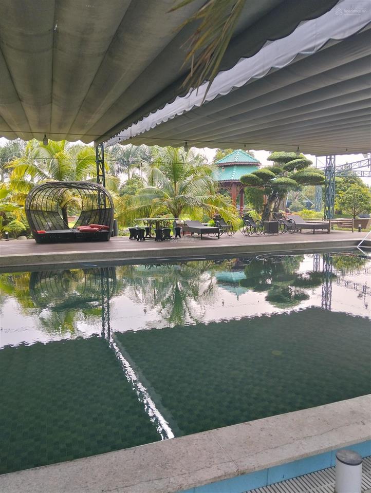 Nhà vườn 8600m2 bình chánh. nghỉ dưỡng siêu vip giành cho khách chịu chi