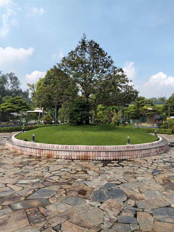 Nhà vườn 8600m2 bình chánh. nghỉ dưỡng siêu vip giành cho khách chịu chi