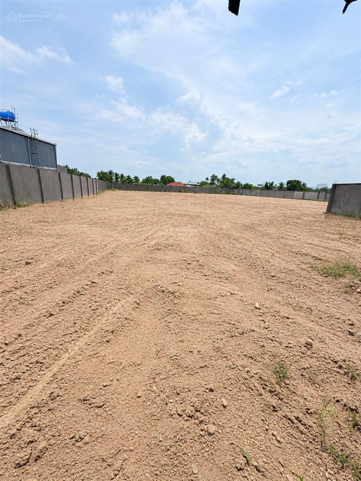Hàng xây kho xưởng 4533m2 đất lúa đã phủ tmdv. mặt tiền đường 833b long hiệp. xe container đi vi vu