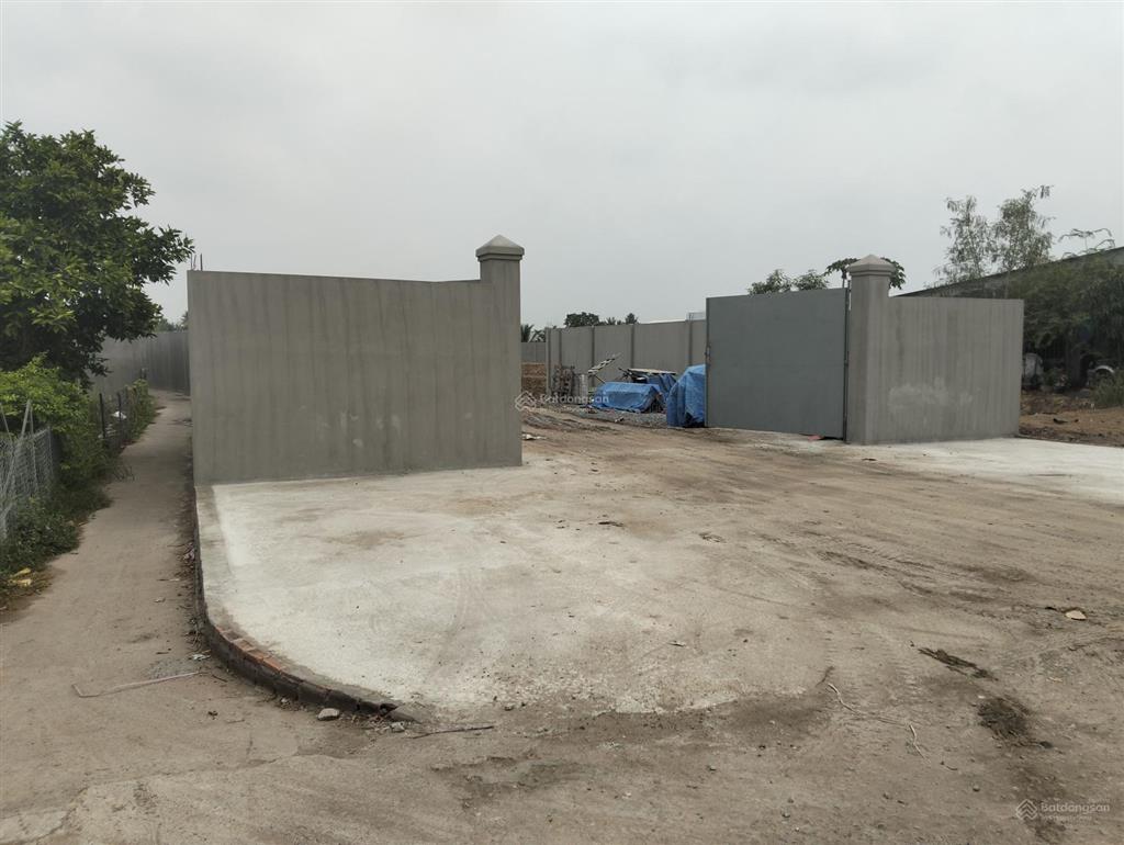 Hàng xây kho xưởng 4533m2 đất lúa đã phủ tmdv. mặt tiền đường 833b long hiệp. xe container đi vi vu
