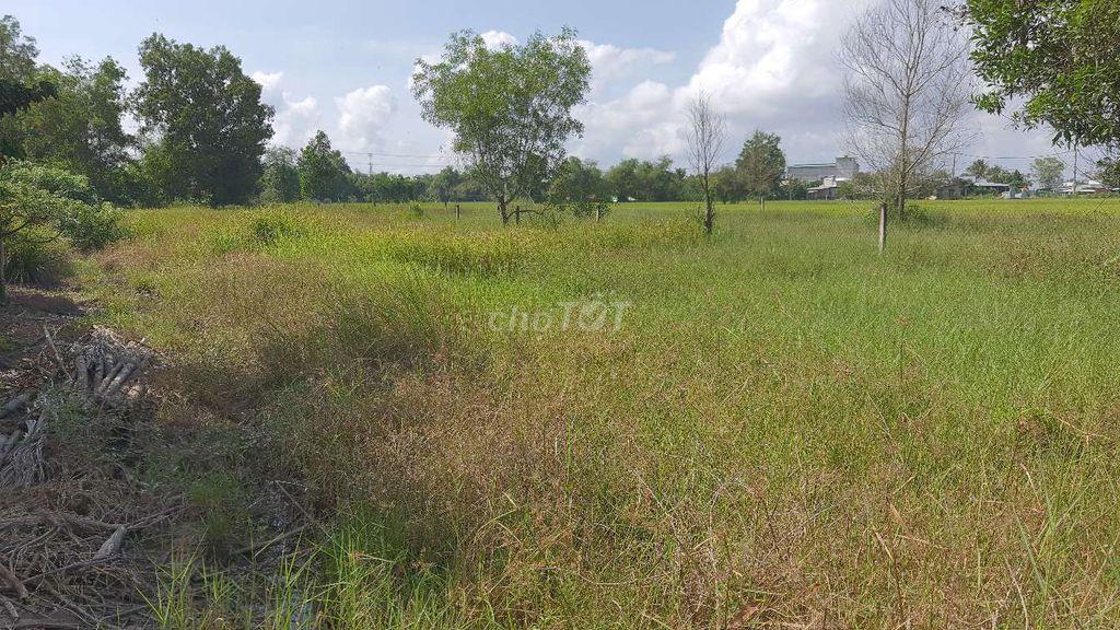 Bán 1064m2 Đất (Thổ 300m2) Hiệp Hòa LA