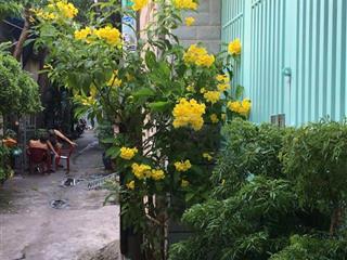 Chính chủ bán nhà hẻm 14 (c1 cũ)  phạm hùng, bình hưng  giá 4,2 tỷ