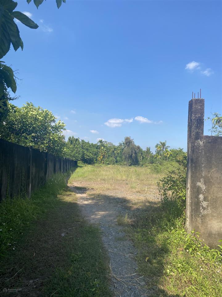 Bán đất đối diện vinhome q9, ngay cầu long đại đường long phước vào 60m, 9,5tr/m2, 8000m2, 200m2 tc