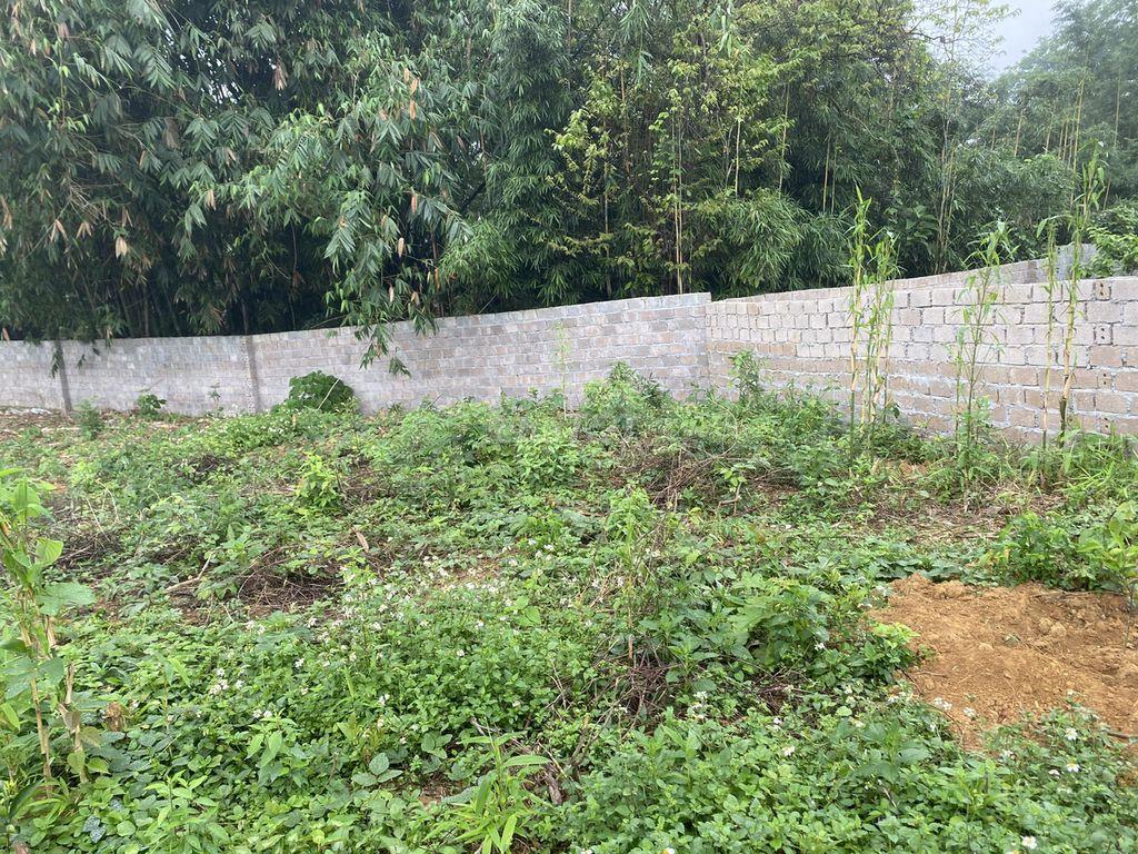 CHO THUÊ HƠN 4.000M² ĐẤT ĐƯỜNG TẢI VÀO TẬN ĐẤT THANH SƠN, LƯƠNG SƠN