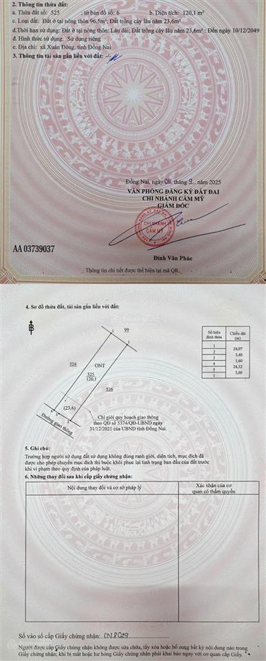 Đất nền khu bàn cờ cách dt765 4km xuân đông , đồng nai, sổ hồng riêng giá chỉ 510 triệu