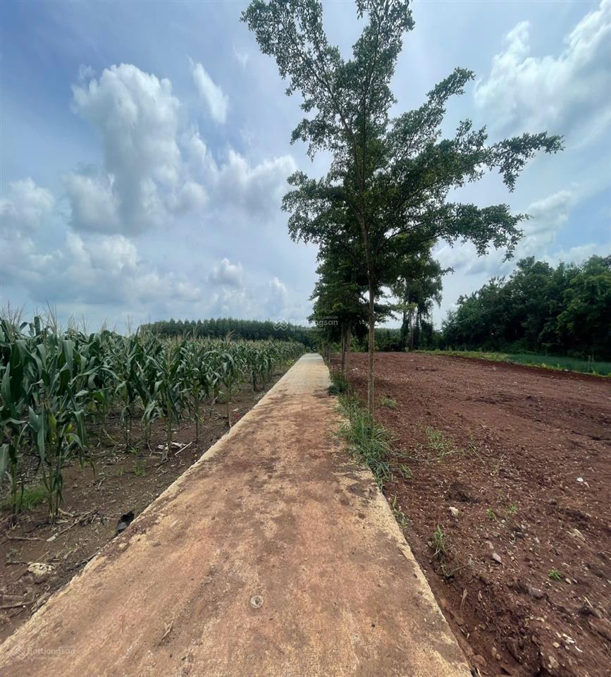 Bán đất tại đường 765, xã xuân đông, cẩm mỹ, đồng nai, 450 triệu, 136.3 m2