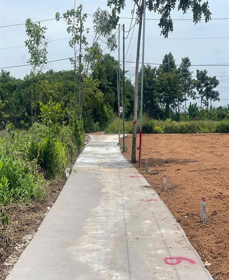 Bán đất 99.8m2 giá 380 triệu tại đường 765, xã xuân tây, cẩm mỹ, đồng nai