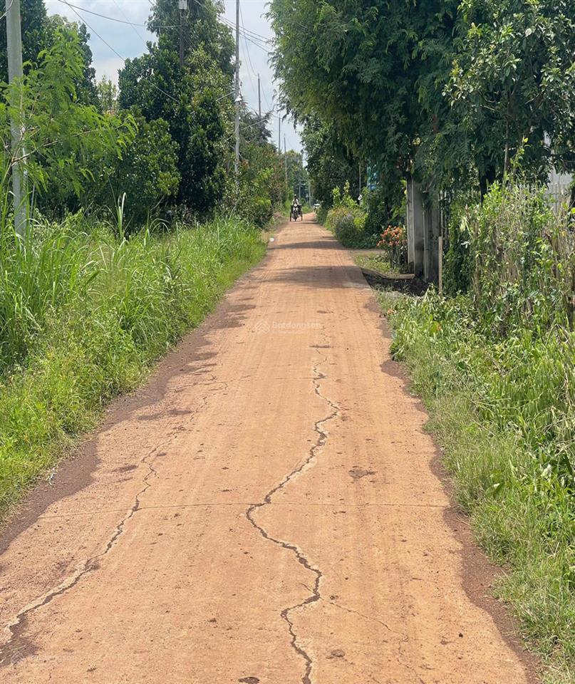 Bán đất 99.8m2 giá 380 triệu tại đường 765, xã xuân tây, cẩm mỹ, đồng nai