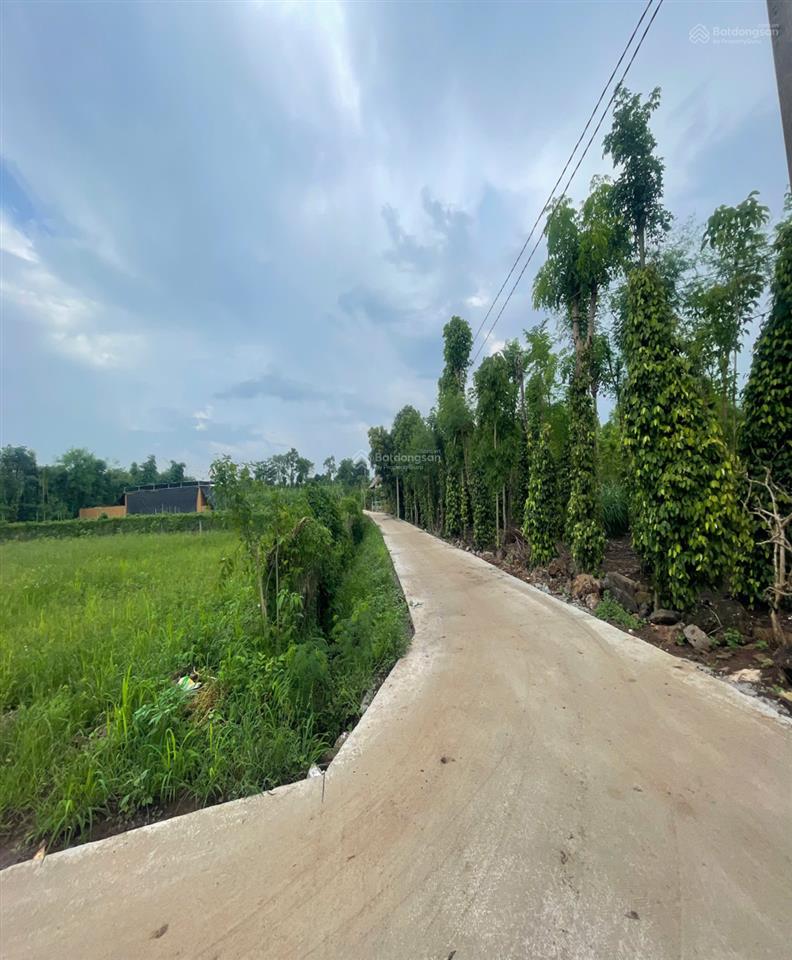 Bán đất nền đẹp tại đường 765, xã xuân đông, cẩm mỹ, đồng nai, 410 triệu, 129.6 m2