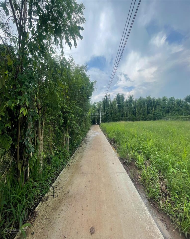 Bán đất nền đẹp tại đường 765, xã xuân đông, cẩm mỹ, đồng nai, 410 triệu, 129.6 m2