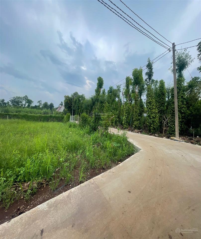 Bán đất nền đẹp tại đường 765, xã xuân đông, cẩm mỹ, đồng nai, 410 triệu, 129.6 m2