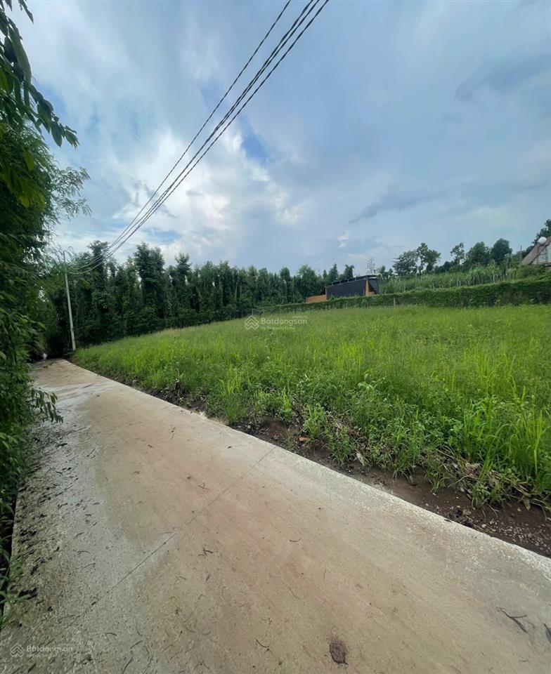 Bán đất nền đẹp tại đường 765, xã xuân đông, cẩm mỹ, đồng nai, 410 triệu, 129.6 m2