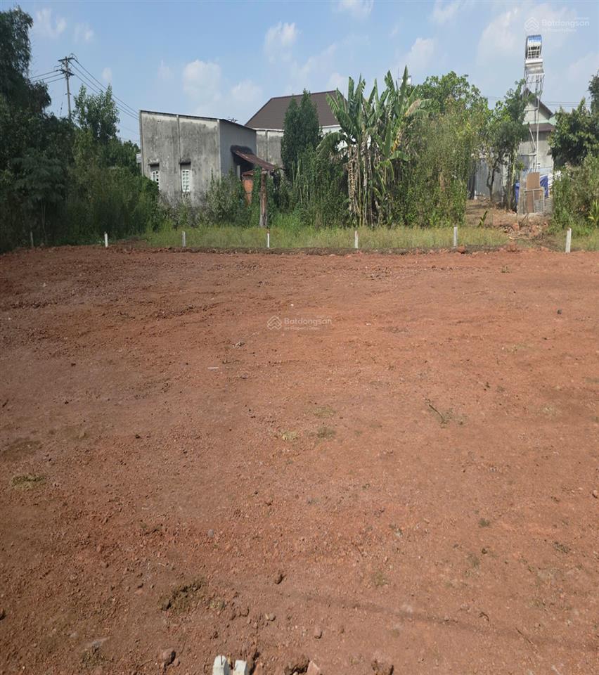 Bán đất tại đường 765, cẩm mỹ, đồng nai, 470 triệu, 98.5 m2, uy tín