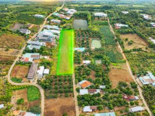 Bán đất tại đường 765, cẩm mỹ, đồng nai, 470 triệu, 98.5 m2, uy tín