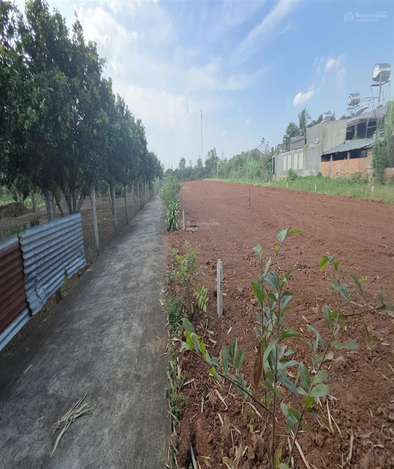 Bán đất tại đường 765, cẩm mỹ, đồng nai, 470 triệu, 98.5 m2, uy tín