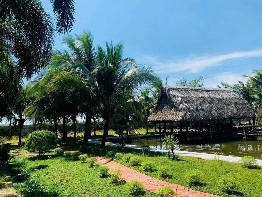 600m2 đất thổ vườn sở hữu ngay  phường tân triều  sổ riêng  xây dựng tự do