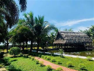 600m2 đất thổ vườn sở hữu ngay  phường tân triều  sổ riêng  xây dựng tự do