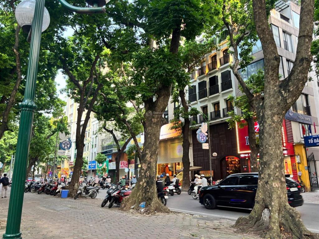 Nổi bật căn nhà mặt phố phan đình phùng vị trí kim cương của hà nội không có sản phẩm thứ 2