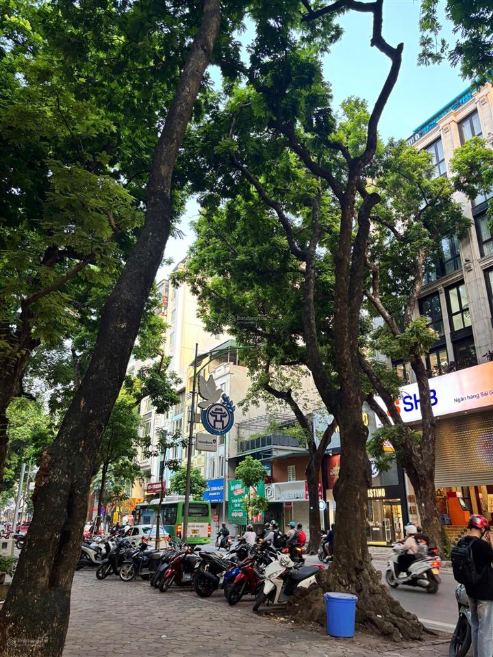 Nổi bật căn nhà mặt phố phan đình phùng vị trí kim cương của hà nội không có sản phẩm thứ 2