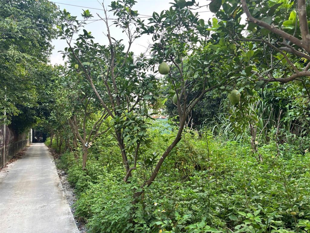 Bán mảnh đất lô góc 2 mặt đường to, rộng 1800m2 cho khách thích xây biệt phủ  nhà sân vườn